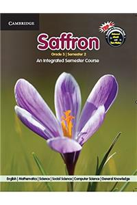 Saffron Level 3 Semester 2