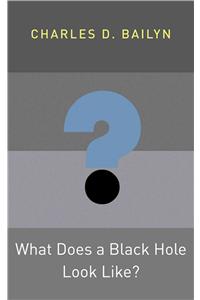 What Does a Black Hole Look Like?