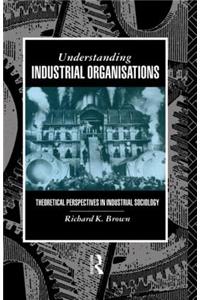 Understanding Industrial Organizations