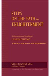 Steps on the Path to Enlightenment