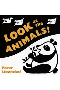 Look at the Animals