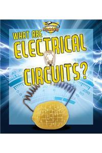 What are electrical circuits?