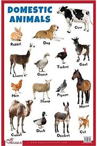 Domestic Animals Educational Chart