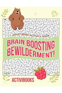 Brain Boosting Bewilderment! Adult Maze Activity Book