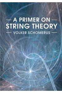 Primer on String Theory
