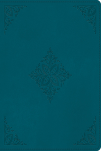 ESV Journaling Bible