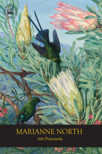 Marianne North 100 Postcards