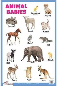 Animal Babies Educational Chart