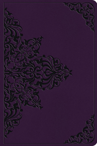 ESV Large Print Value Thinline Bible