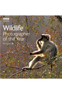 Wildlife Photographer of the Year