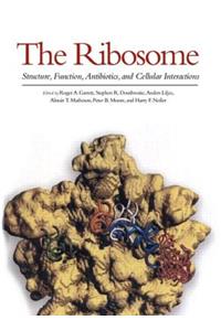 Ribosome