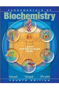 Fundamentals of Biochemistry