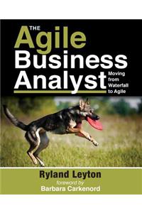 Agile Business Analyst