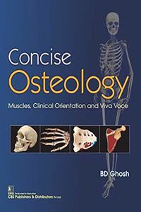 Concise Osteology