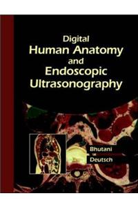 Human Anatomy and Endoscopic Ultrasonography