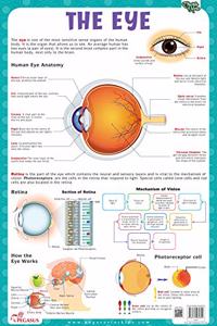 The Eye - Thick Laminated Chart