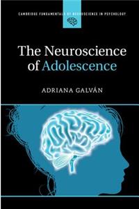 Neuroscience of Adolescence