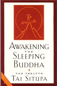 Awakening the Sleeping Buddha