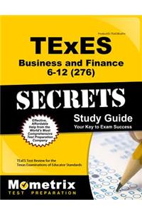 TExES Business and Finance 6-12 (276) Secrets Study Guide
