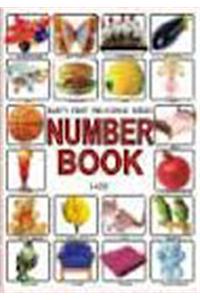 Baby Number Book (1-100)