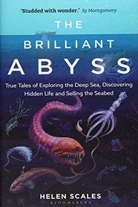 The Brilliant Abyss