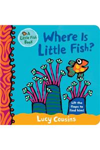 Where Is Little Fish?