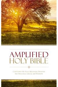 Amplified Holy Bible, Hardcover