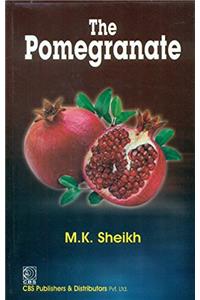 The Pomegranate