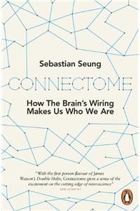 Connectome