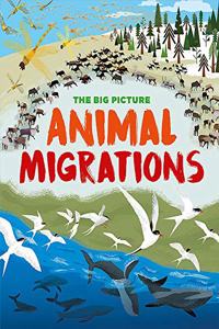 The Big Picture: Animal Migrations