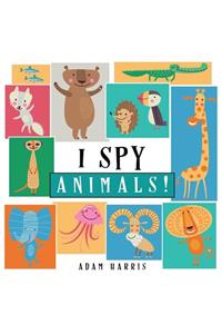 I Spy Animals!