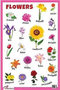 Flowers Educational Chart