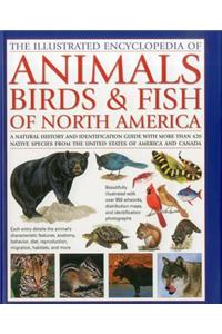 Illustrated Encyclopedia of Animals, Birds & Fish of North America