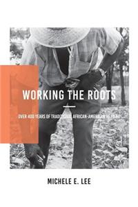 Working The Roots: Over 400 Years of Traditional African American Healing