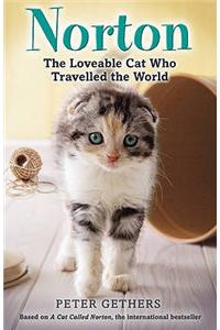 Norton, The Loveable Cat Who Travelled the World