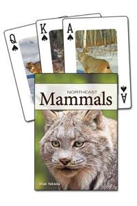 Mammals of the Northeast Playing Cards