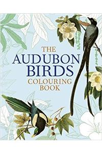 Audubon Birds Colouring Book