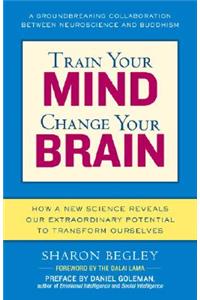 Train Your Mind, Change Your Brain