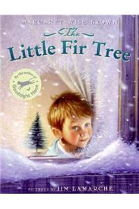 Little Fir Tree