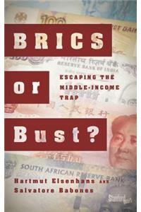 BRICS or Bust?