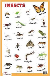 Insects - Educational Chart