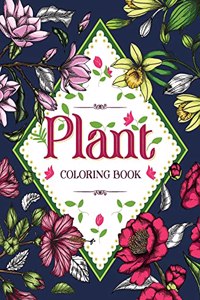 PLANT Coloring Book: Floral Coloring Book with Succulents and Flowers for Adults