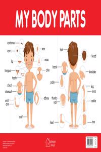 My Body Parts Chart - Early Learning Educational Chart For Kids: Perfect For Homeschooling, Kindergarten and Nursery Students (11.5 Inches X 17.5 Inches)