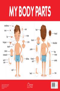 My Body Parts Chart