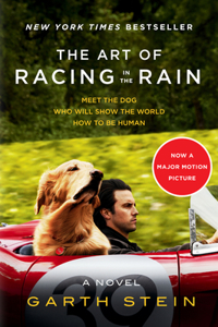 The Art of Racing in the Rain Tie-in