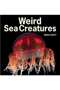 Weird Sea Creatures