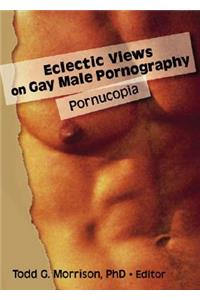 Eclectic Views on Gay Male Pornography