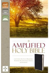 Amplified Holy Bible, Bonded Leather, Black