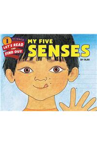 My Five Senses