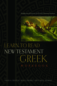 Learn to Read New Testament Greek, Workbook
